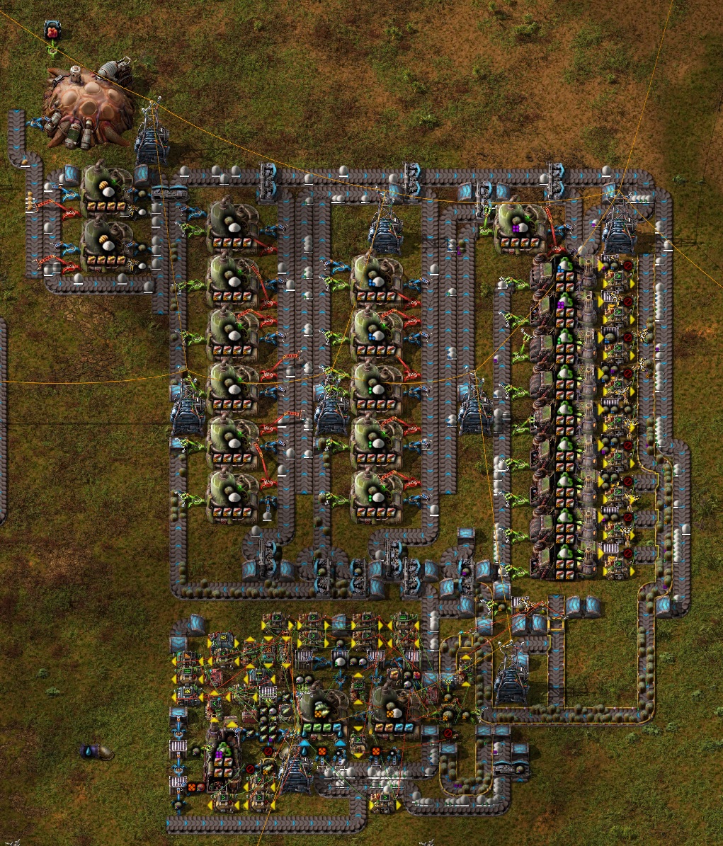 Fish.jpg