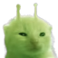 2x.png
