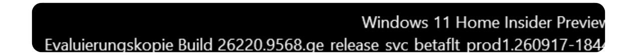 screenshot of my windows build