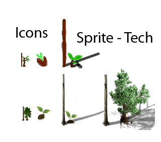 TreeSeeds.png