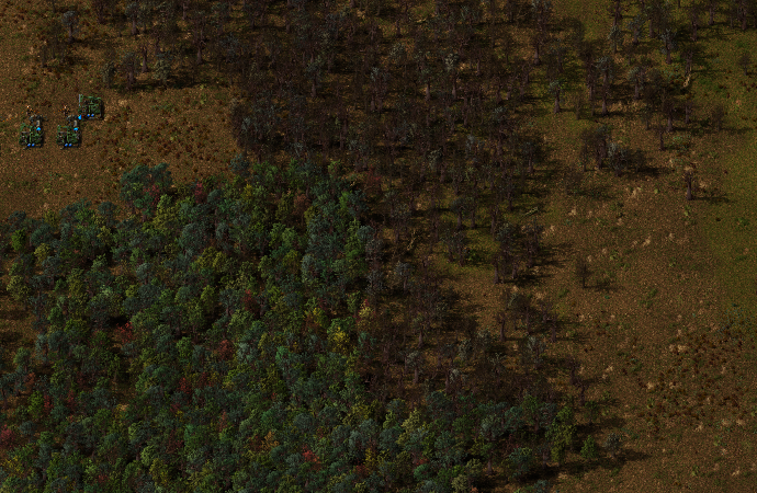 foresttrees.png