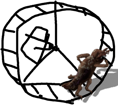 wheel.png