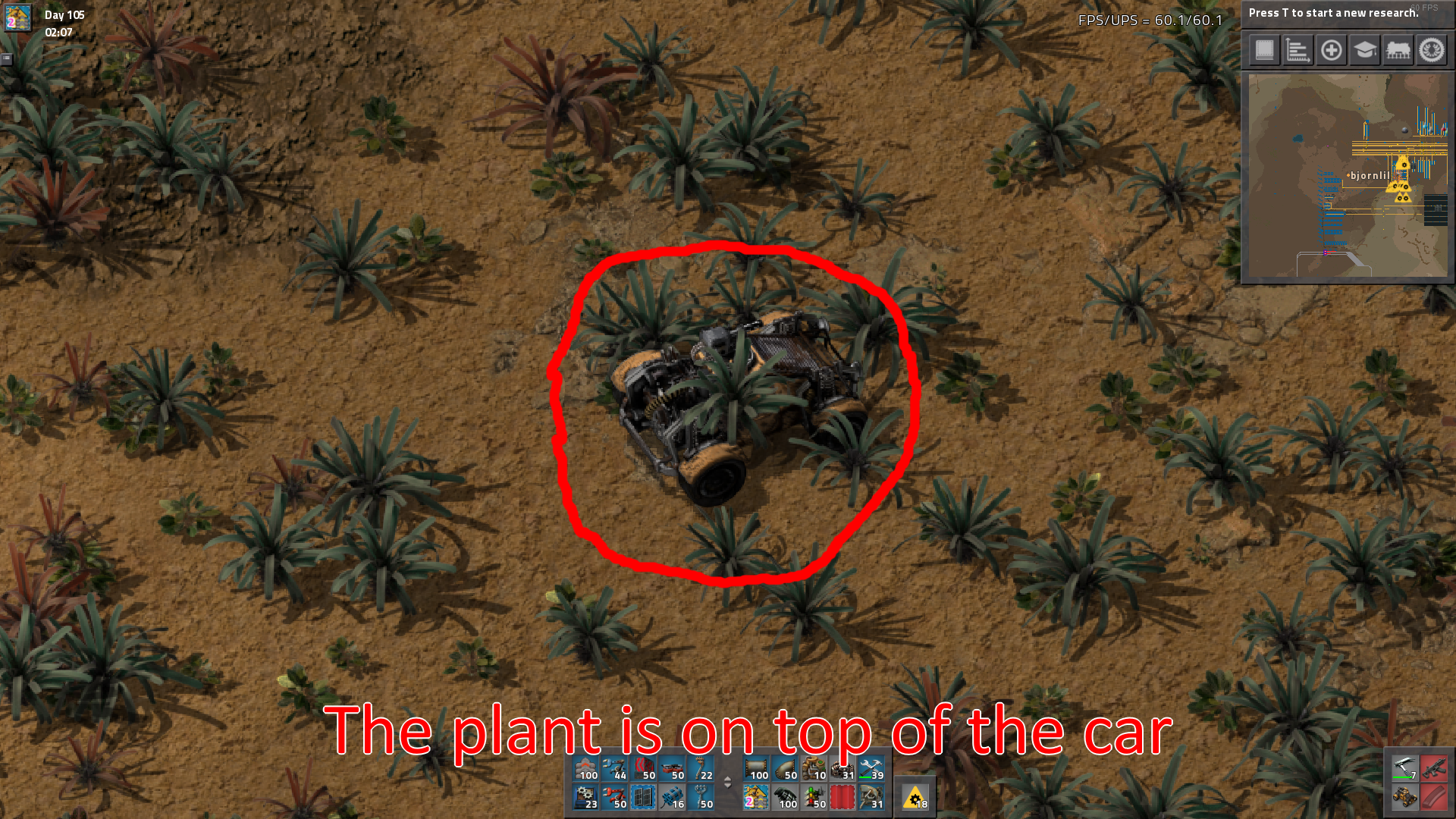 Plant on car.png