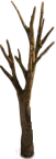 sapling-b-trunk.png