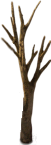 sapling-a-trunk.png